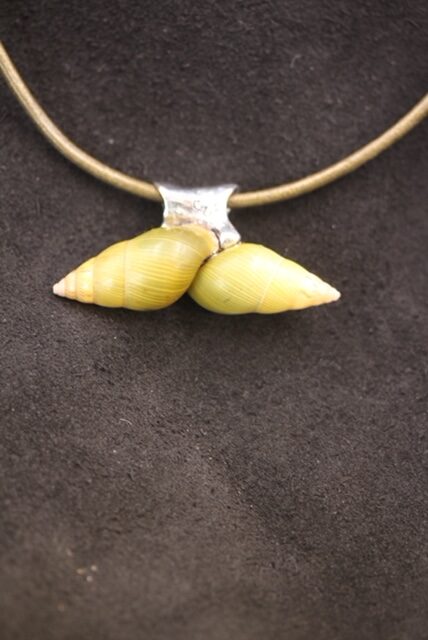 17.  One of a kind sterling silver capped double olive green snail shells choker on leather. 2022    1 1/8” h x  2 ¼” w --  $900